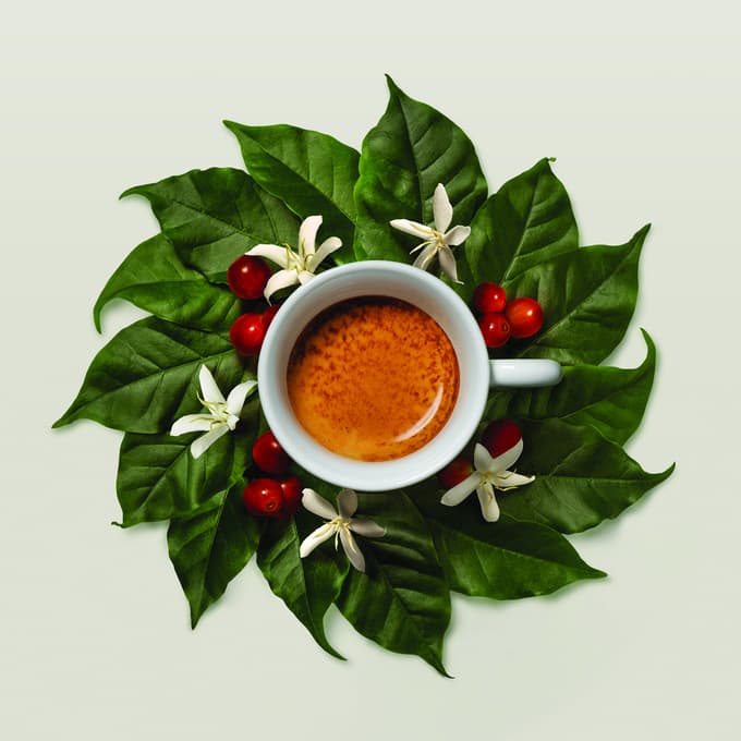 illy – v stiku z umetnostjo, ustvarjalnostjo in lepoto