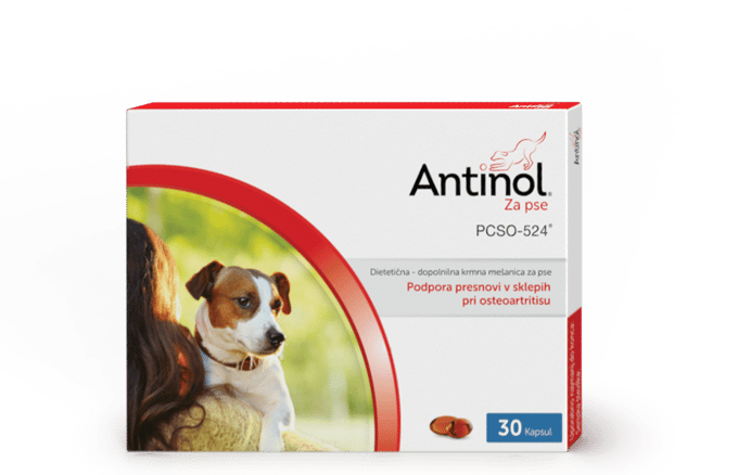 Težave s sklepi pri psih so bile v preteklosti velik izziv