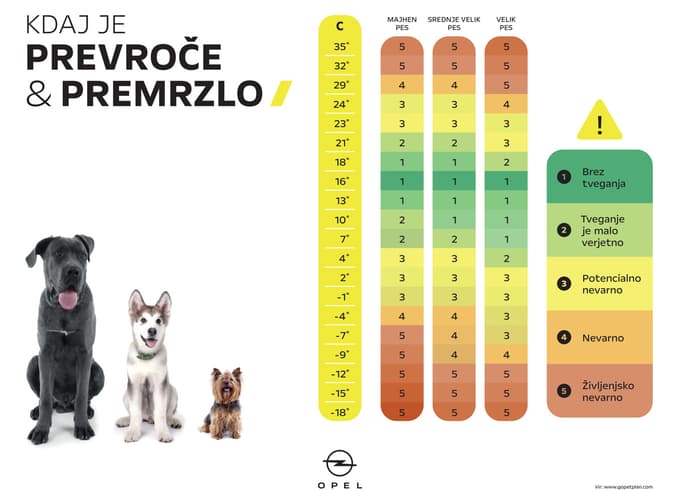 Poletje v avtu, zunaj pa sneg ‒ nočna mora za pse