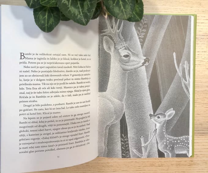 Bambi z ilustracijami Alenke Sottler je izšel pri Princeton University Press. O ilustracijah so poročali številni mednarodni mediji. 
