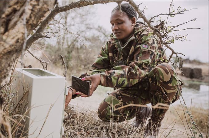 Samsung razširja program Wildlife Watch opazovanja divjih živali za zaščito pred divjim prekupčevanjem