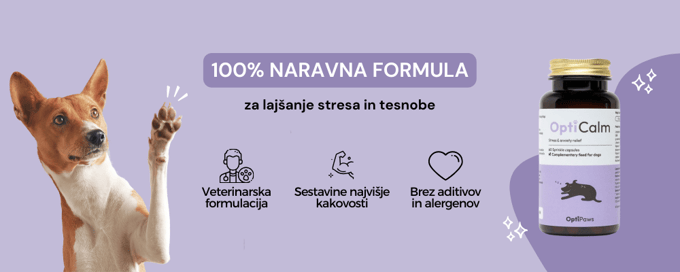 Stres in anksioznost pri psih