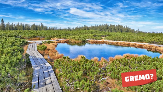 Poganjamo avanture: izleti za ljubitelje vožnje