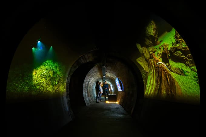 Proteus ima na drevesu življenja posebno mesto.