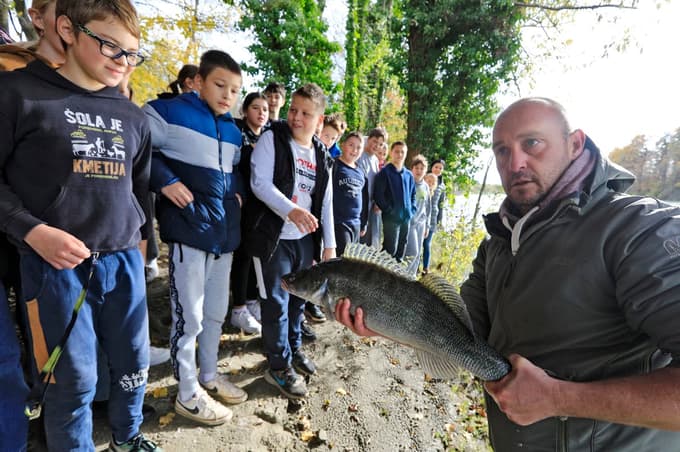 (FOTO in VIDEO) V reko Dravo izpustili stopetdeset kilogramov smučev