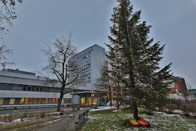 Jelko, ki je visoka kar 12 metrov, so pripeljali pred stolpnico UKC Maribor z Ruškega Pohorja.