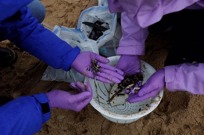 Pobiranje plastičnih delcev na plaži Vilar