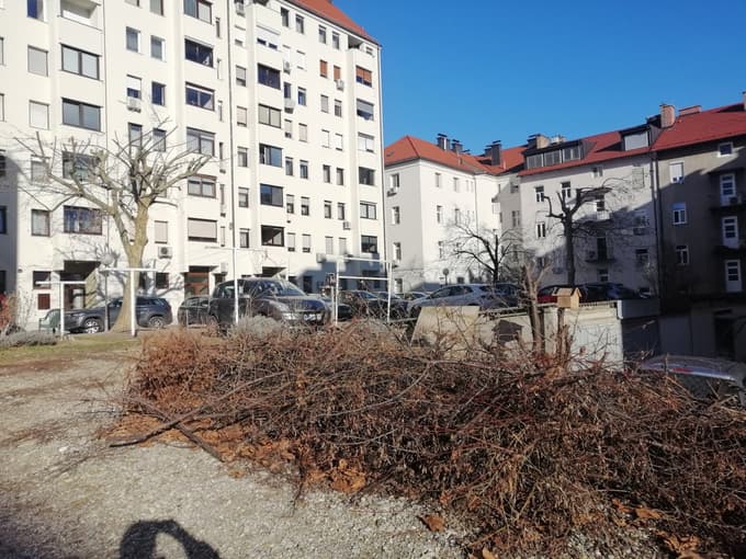 Poreznai vrhovi, spodkopane korenine.