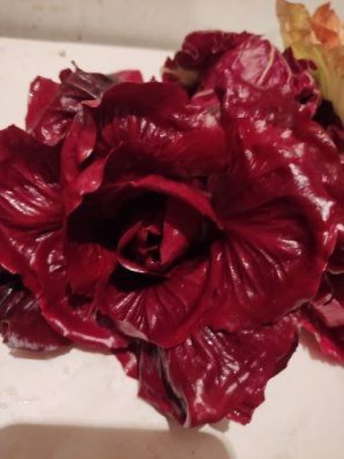 Okus siljenega radiča je bolj nežen, manj grenak in izrazito poln, zato mu marsikdo pravi kar kralj med solatami. 