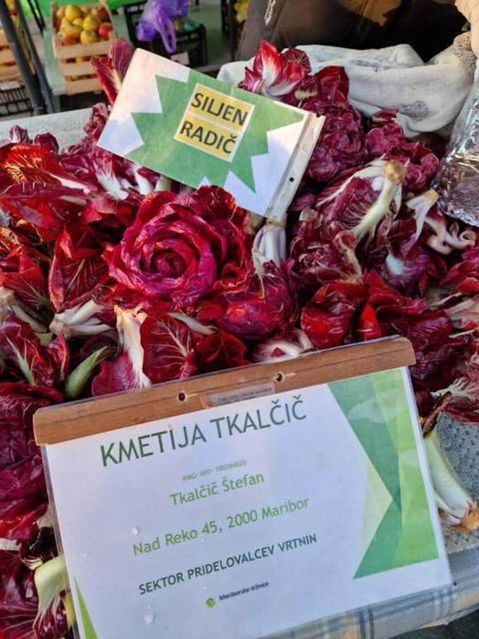 Cene na mariborski tržnici: Koliko stane siljen radič?