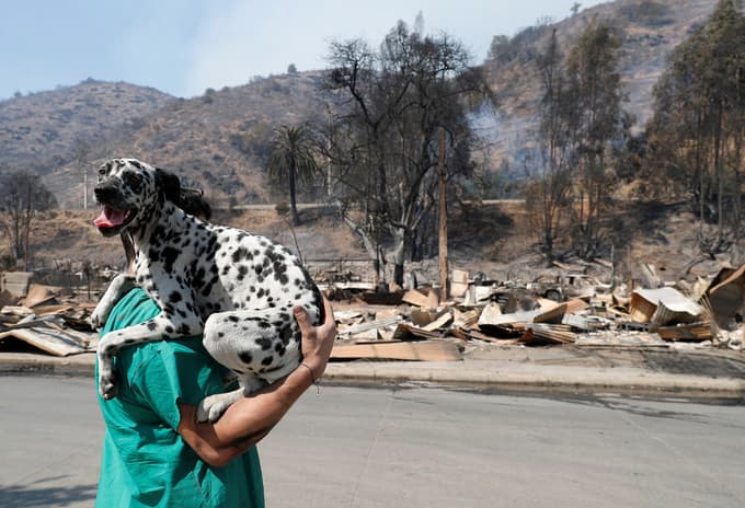 V katastrofalnih gozdnih požarih v Čilu najmanj 19 mrtvih, zgorelo je 43.000 hektarjev gozdov