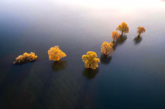 Umetniška predanost Izolana: Za dobro fotko vstane tudi ob enih zjutraj