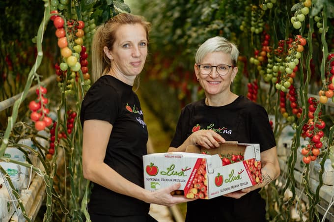 Tudi pozimi si lahko privoščite svež, sočen slovenski paradižnik