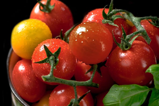 Tudi pozimi si lahko privoščite svež, sočen slovenski paradižnik