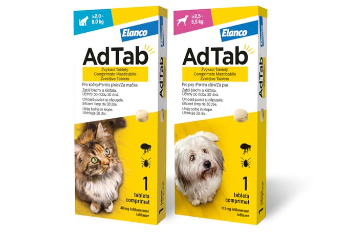 Nepovabljeni »prijatelji« naših ljubljenčkov