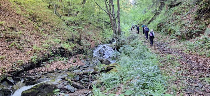 Pot vodi po slikoviti soteski, ki jo je skrojil potok.
