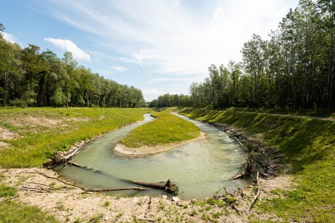 Na avstrijskem Koroškem odstranili še zadnjo oviro za plovnost rib na Dravi. Kako jim je uspelo?