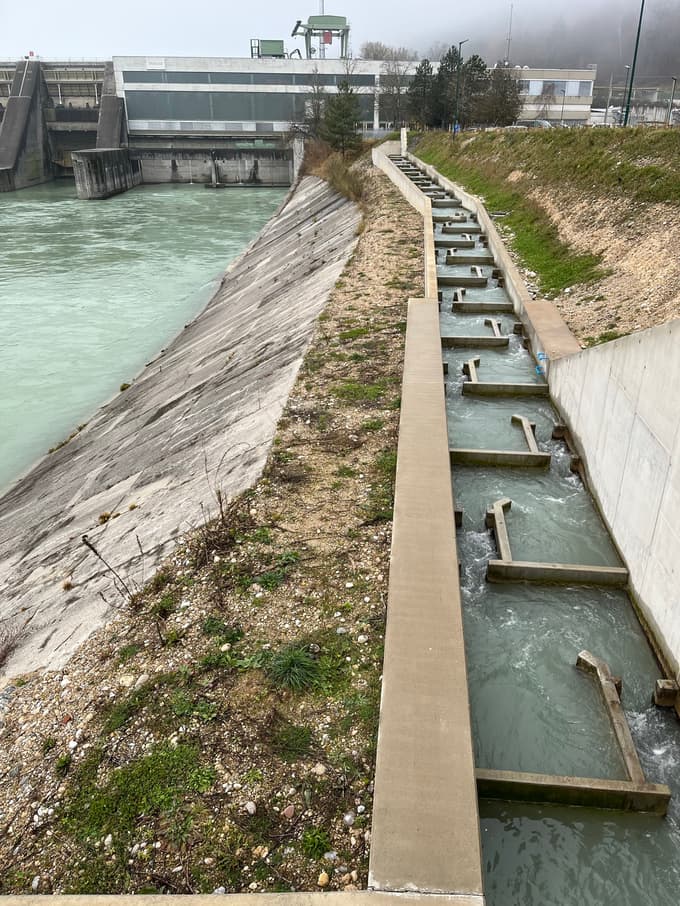 Hidroelektrarna Drava, Verbund Feistritz - Ludmannsdorf, sistem za vzpenjanje rib po reki navzgor