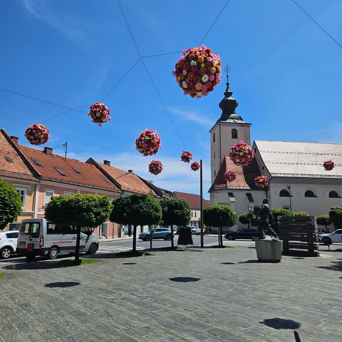 V Slovenski Bistrici cvetlične krogle