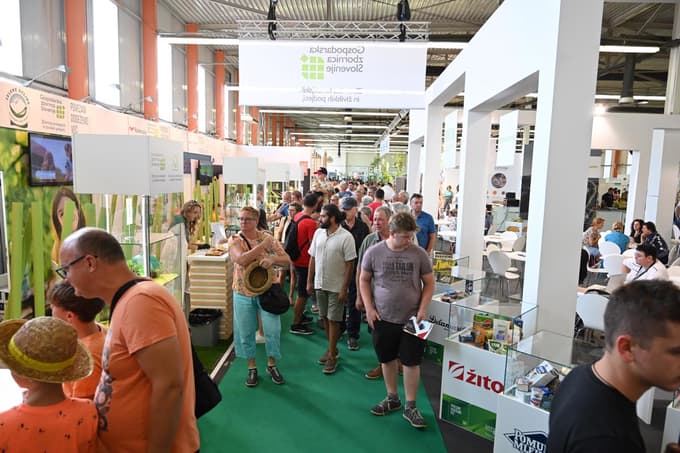 Sejem bodo sooblikovale vodilne vladne, strokovne in stanovske organizacije.