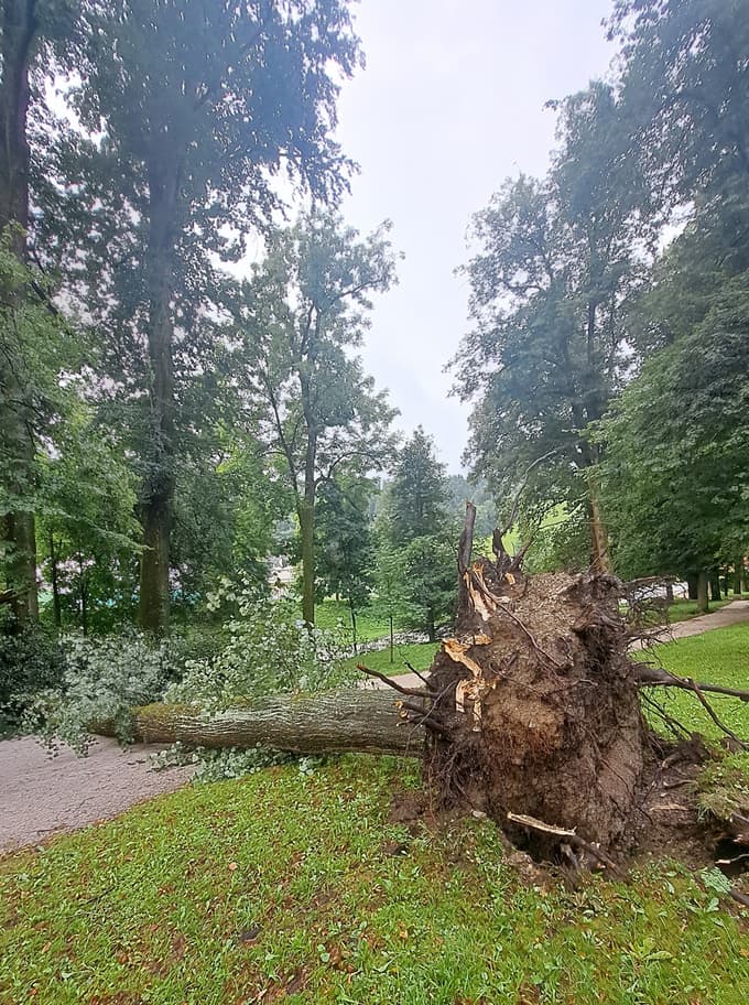 Po neurju v parku Ravne