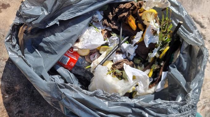 Naj smrdi gozdu: "To so kupi smeti, odvrženi v mojem gozdu, tu v bližini"