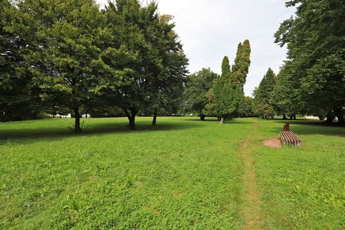 Na zemljišču, predvidenem za novo igrišče, je veliko dreves. Nobeno ne bo padlo, obljubljajo na občini.