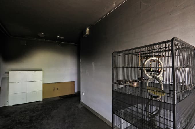 V bloku v Mariboru pogorelo stanovanje, stanovalce so evakuirali, gasilci so življenje rešili tudi mački