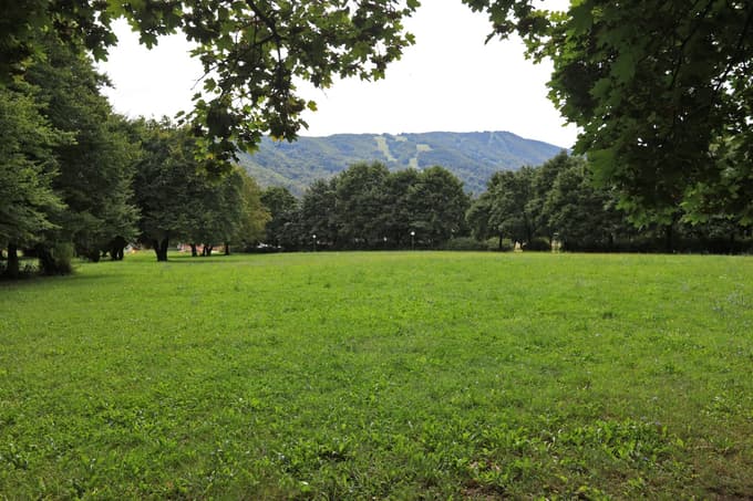 Lokacija pri OŠ Leona Štuklja, kjer bodo nove športne površine. Drevesa naj bi ohranili.