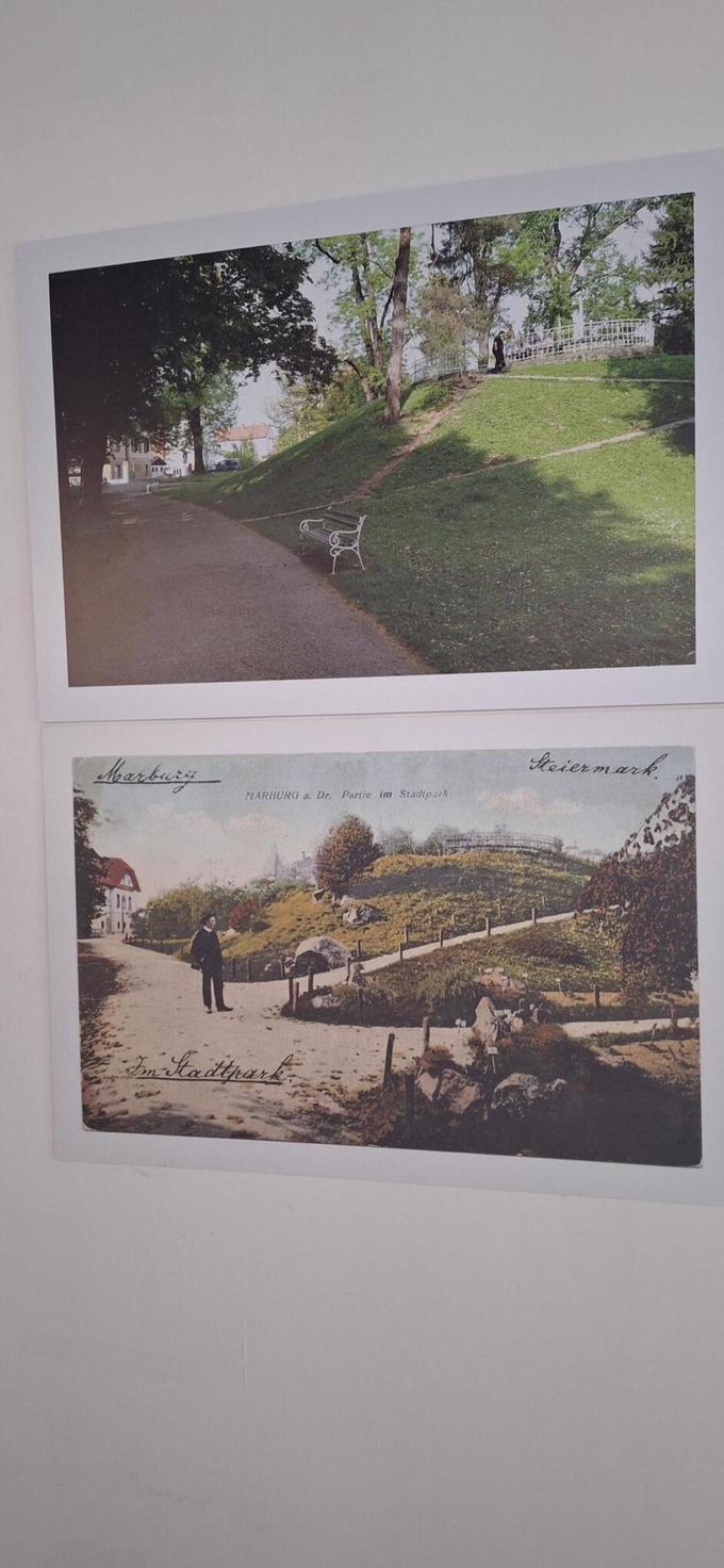 Ob povečane razglednice Mestnega parka so postavili aktualne fotografije.