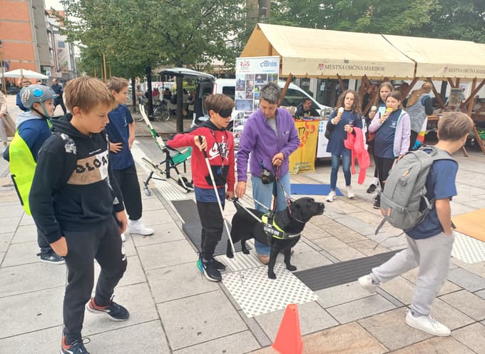Brez ovir - dan mobilnosti invalidov - 2024 trg leona štuklja - pes vodnik