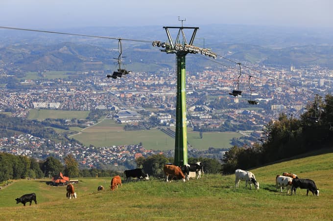 Pohorje pod udarom kršiteljev: 31 ukrepov in 10 glob zaradi škodovanja naravi