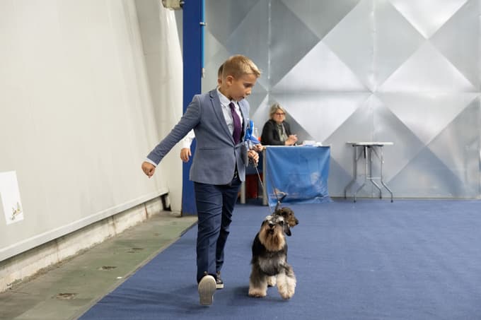 Evropska razstava psov v Celju