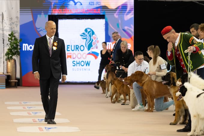 Evropska razstava psov v Celju