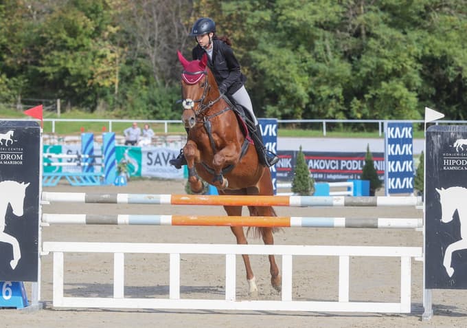 Jahanje ni samo šport, gre tudi za vez s konjem.