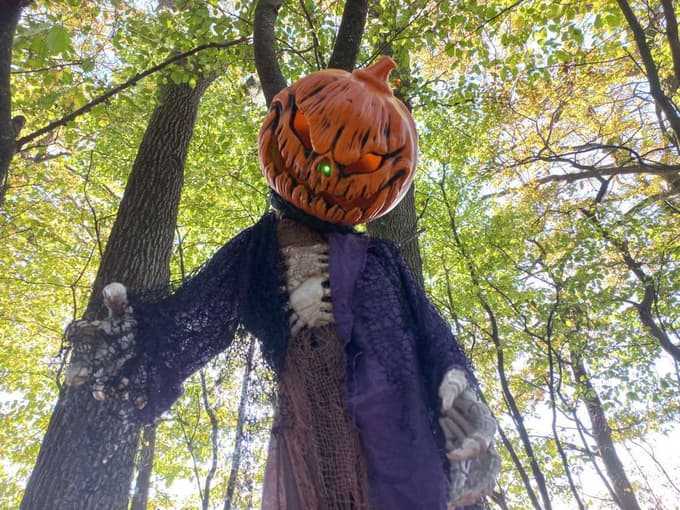 Magični gozd: V Rogozi znova čakajo čarovnice, duhovi in druga strašljiva bitja