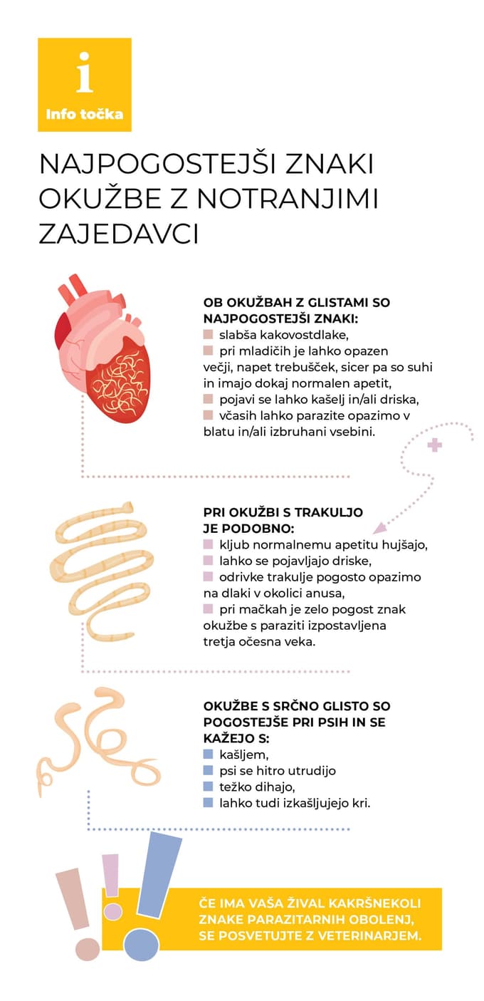 NAJPOGOSTEJŠI ZNAKI OKUŽBE Z NOTRANJIMI ZAJEDAVCI 