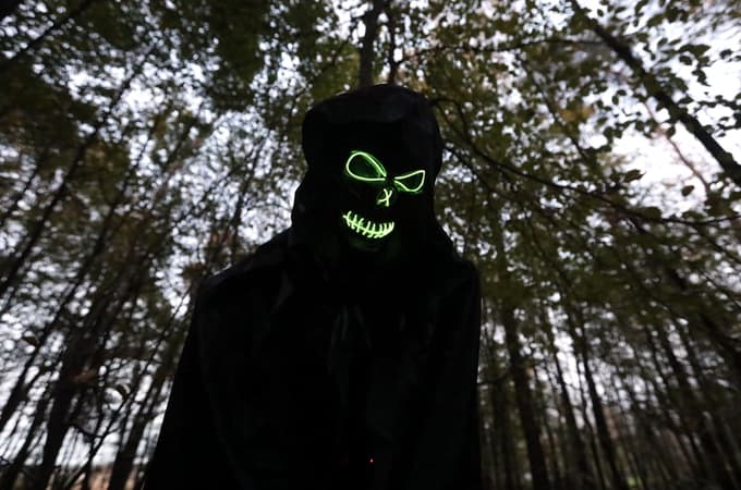 Magični gozd: V Rogozi znova čakajo čarovnice, duhovi in druga strašljiva bitja