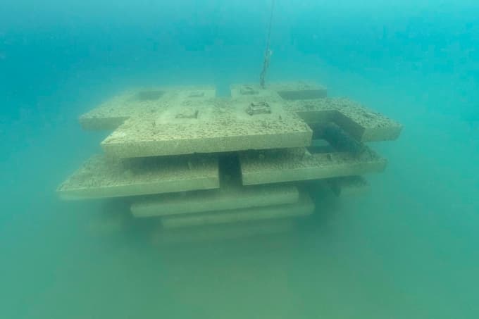 Trem podjetjem z najperspektivnejšimi idejami 100.000 evrov za razvoj trajnostnih projektov v Sloveniji