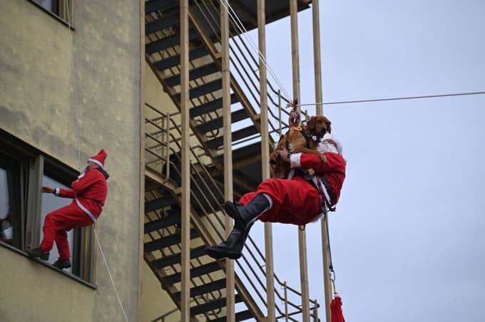 (FOTO in VIDEO) Božičkom so se pri spustu s strehe pridružili reševalni psi