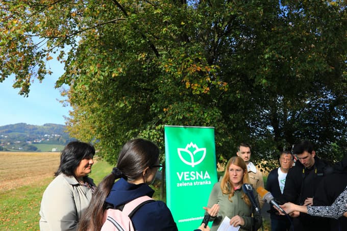 Župan Marko Soršak o drevoredu v Pivoli po ukinitvi sofinanciranja: Dreves čez deset ali 15 let več ne bo