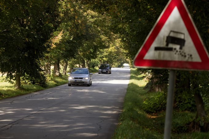 Župan Marko Soršak o drevoredu v Pivoli po ukinitvi sofinanciranja: Dreves čez deset ali 15 let več ne bo