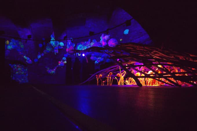 V prostorih se razraščajo različni elementi.