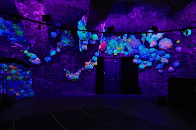 (FOTO in VIDEO) V Minoritih še ta konec tedna na ogled osupljivi svetlobni postavitvi