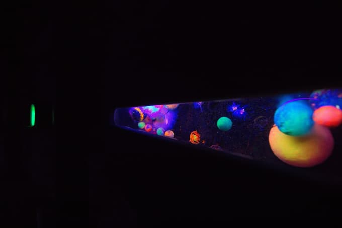 (FOTO in VIDEO) V Minoritih še ta konec tedna na ogled osupljivi svetlobni postavitvi