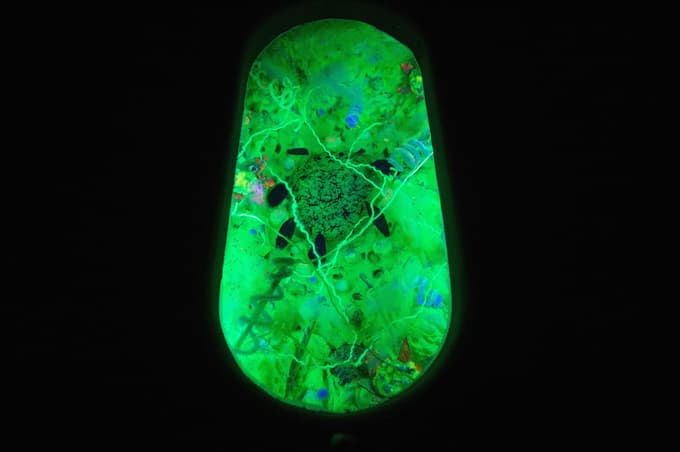 (FOTO in VIDEO) V Minoritih še ta konec tedna na ogled osupljivi svetlobni postavitvi