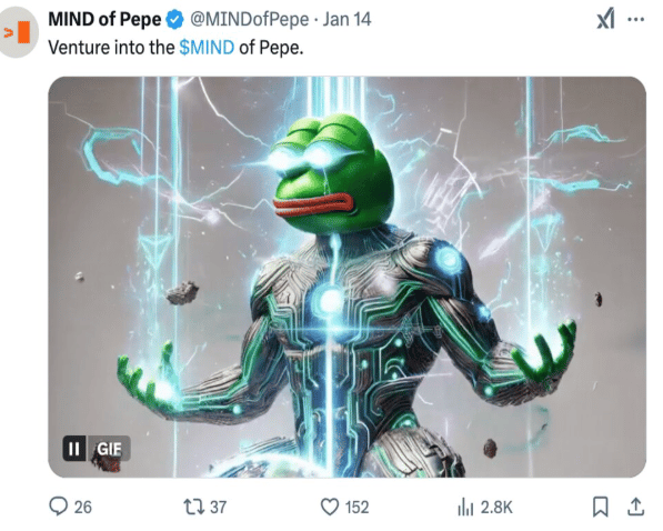 Kateri novi PEPE kovanci ponujajo priložnosti za visoke donose?