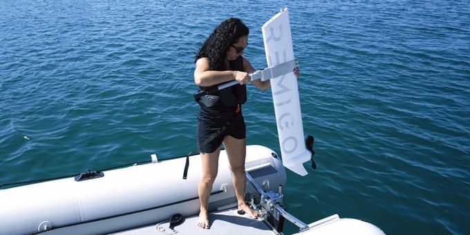 Remigo, električni izvenkrmni motor