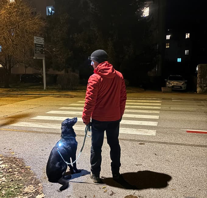 Akcija »Bodi viden, bodi previden« tudi za pse in njihove lastnike