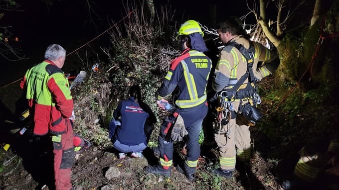 Požrtvovalni gasilci, ki so iz globeli reševali konja